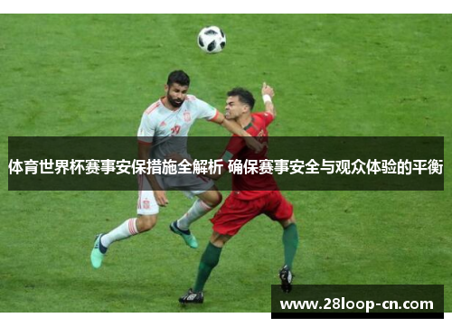 体育世界杯赛事安保措施全解析 确保赛事安全与观众体验的平衡