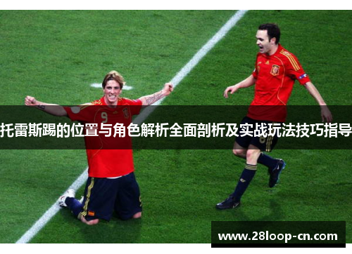 托雷斯踢的位置与角色解析全面剖析及实战玩法技巧指导